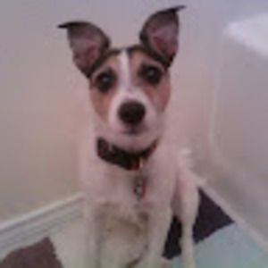 Meet your Posher, Elydia